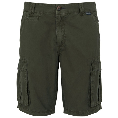 Чоловічі шорти Regatta Shorebay Shorts II зелений Dark Khaki