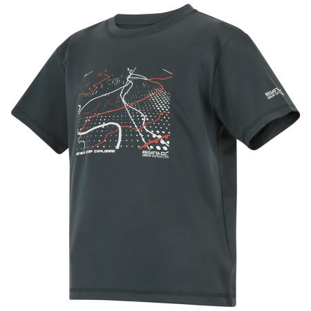 Дитяча футболка Regatta Alvarado Seal Grey