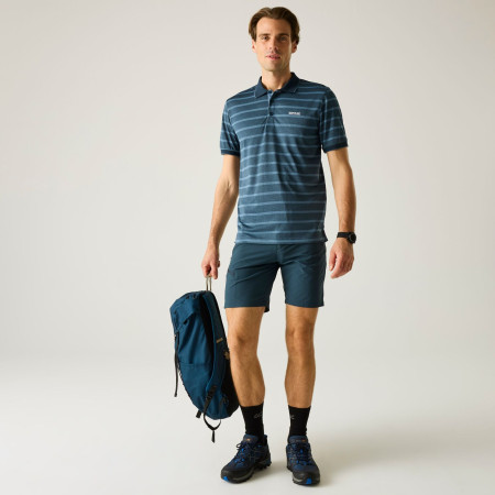 Чоловіча футболка Regatta Kildra