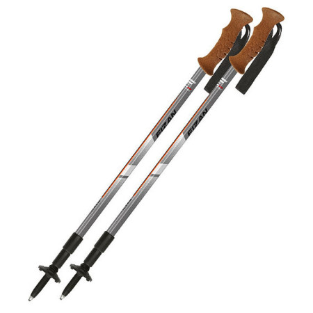 Трекінгові палиці Fizan Tierra