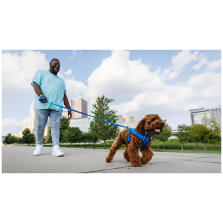 Повідець для собаки Ruffwear Front Range™ Leash