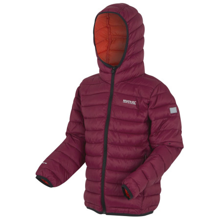 Дитяча куртка Regatta Junior Hooded Marizion