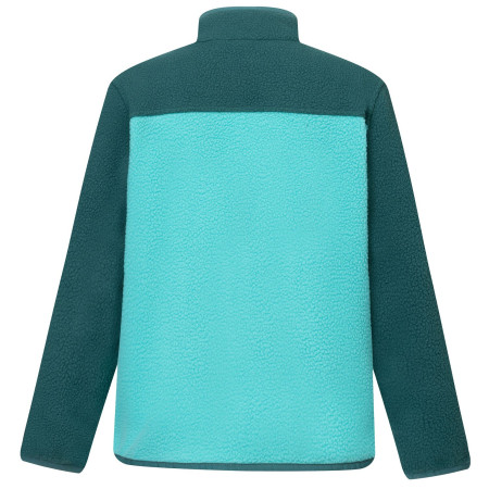 Дитяча функціональна толстовка Regatta Junior Frankie Warm Fleece Mediterranea/Turquoise