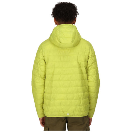 Чоловіча зимова куртка Regatta Hooded Hillpack