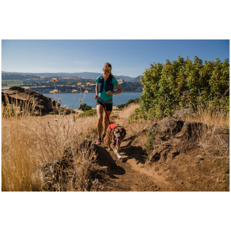 Шлея для собаки Ruffwear Switchbak™ Harness