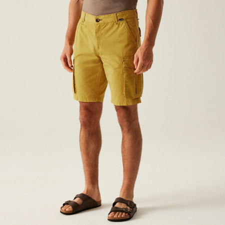 Чоловічі шорти Regatta Shorebay Shorts II