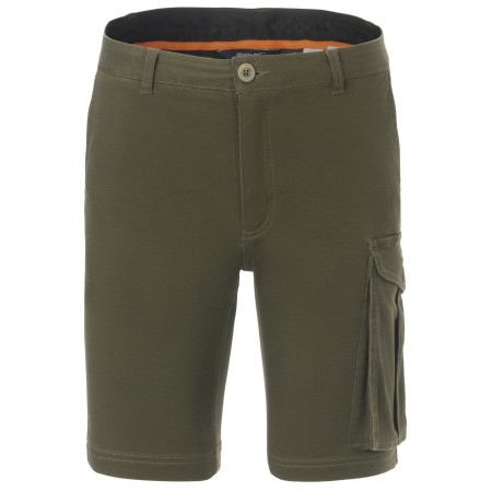 Чоловічі шорти Regatta Bendrick Shorts зелений Dark Khaki