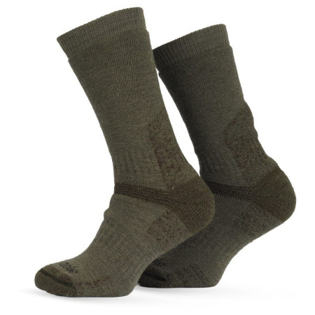 Шкарпетки Bridgedale Field Range HW MP Boot