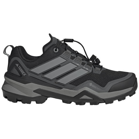 Жіночі туристичні черевики Adidas Terrex Skychaser Gtx W чорний