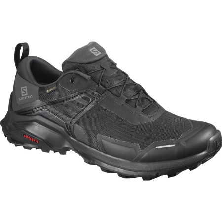 Чоловічі черевики Salomon X Raise GTX