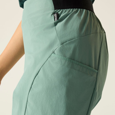 Жіночі шорти Regatta Women’s Pentre Lite Shorts
