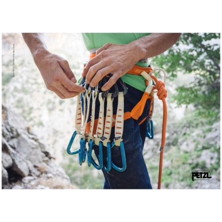 Альпіністська система Petzl Hirundos