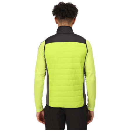 Чоловіча жилетка Regatta Halton BW VI