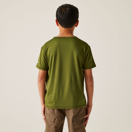 Дитяча футболка Regatta Alvarado IX