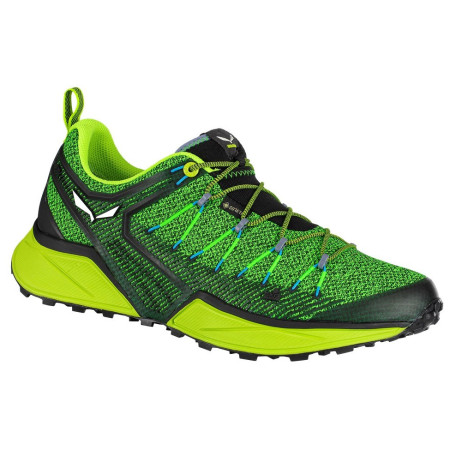 Чоловічі черевики Salewa Ms Dropline Gtx