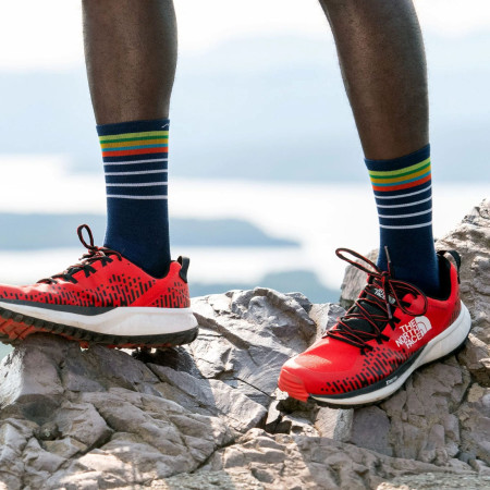 Чоловічі шкарпетки Darn Tough Stride Micro Crew Ultra-Lightweight