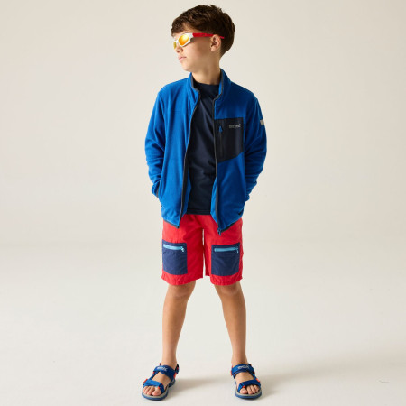 Дитяча толстовка Regatta Junior Frankie F/Z Olympian Blu