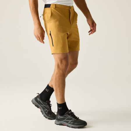 Чоловічі шорти Regatta Anti-Insect Travel Light Shorts