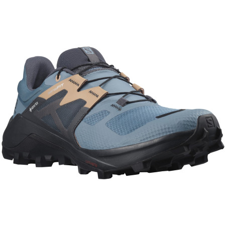 Жіночі черевики Salomon Wildcross 2 Gore-Tex W синій