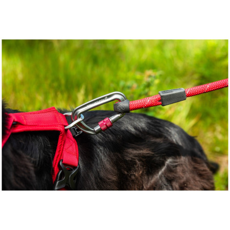 Повідець для собаки Mountain Paws Rope Dog Lead
