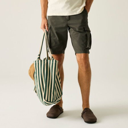 Чоловічі шорти Regatta Shorebay Shorts II