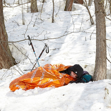 Ізотермічний мішок Lifesystems Thermal Bag