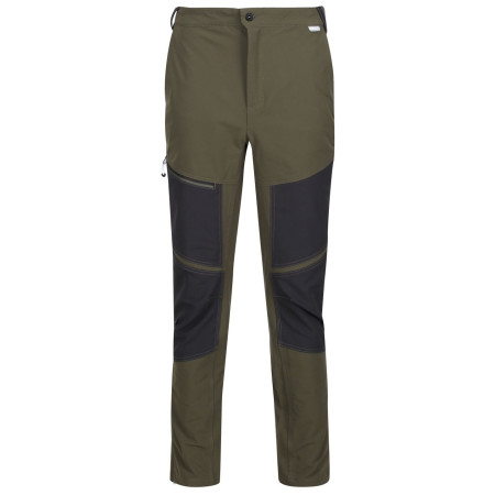 Чоловічі штани Regatta Questra IV