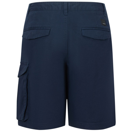 Чоловічі шорти Regatta Bendrick Shorts