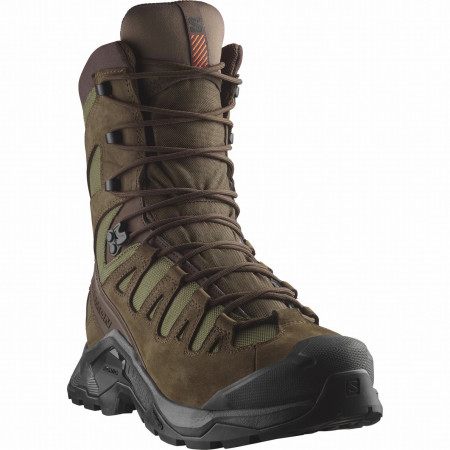 Чоловічі черевики Salomon Quest Tracker High Gore-Tex коричневий Earth Brown / Ranger Green / Black