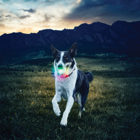 Іграшка для собак Nite Ize Glowstreak LED Ball