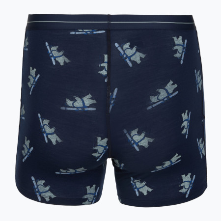 Чоловічі функціональні боксерки Icebreaker Men M 150 Anatomica Boxers BearTourAOP