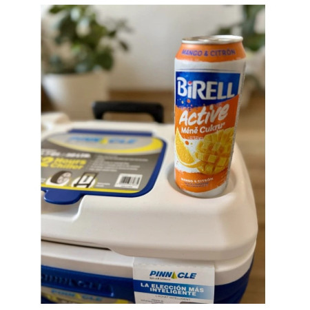 Термобокс Pinnacle Prudence 30L