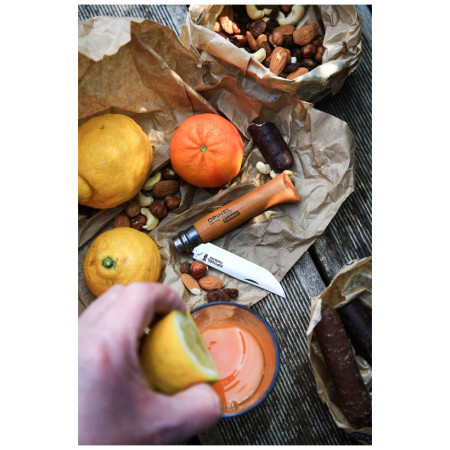 Складаний ніж Opinel N°04 Carbon