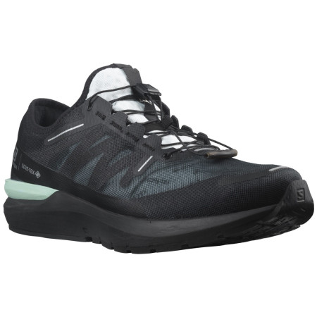 Чоловічі черевики Salomon Sonic 4 Gore-Tex чорний