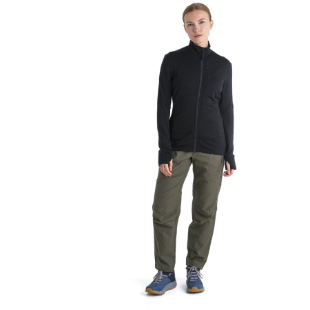 Жіноча кофта Icebreaker Women Merino 260 Quantum IV LS Zip