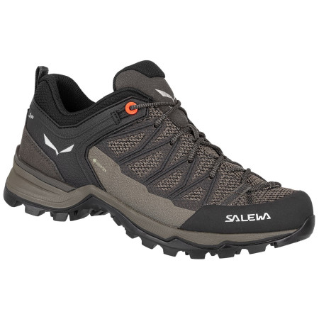 Жіночі черевики Salewa Ws Mtn Trainer Lite Gtx