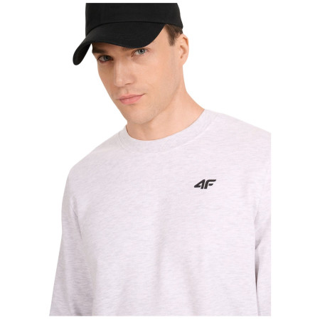 Чоловіча толстовка 4F Sweatshirt M1767