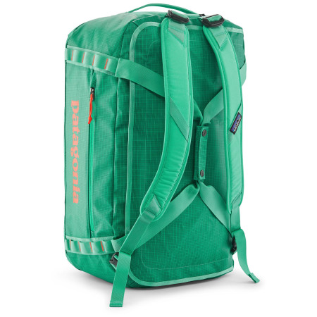 Дорожня сумка Patagonia Black Hole Duffel 55L