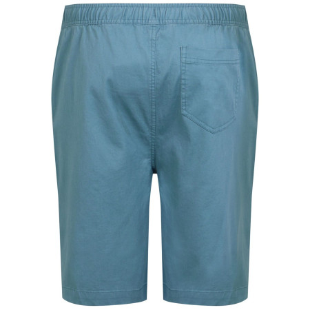 Чоловічі шорти Regatta Aldan Short