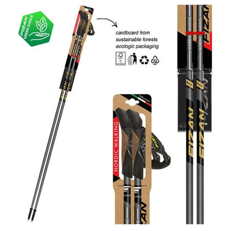 Палиці для скандинавської ходьби Fizan NW Runner