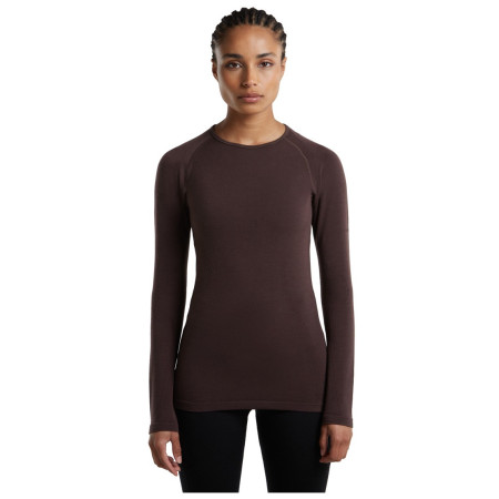 Жіноча функціональна футболка Icebreaker W Mer 260 Zoneknit Seamless LS Crewe