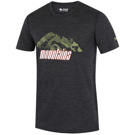 Чоловіча футболка Zulu Merino Mountains 160 Short Comfy