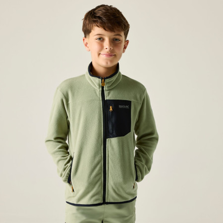Дитяча толстовка Regatta Junior Frankie F/Z Light Sage