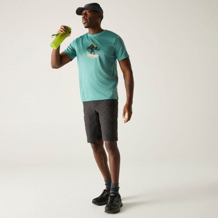 Чоловіча футболка Dare 2b Fingal Slogan