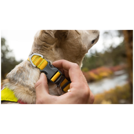 Нашийник для собаки Ruffwear Hi & Light™ Collar