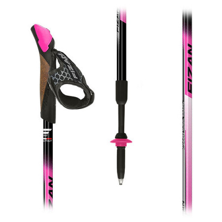 Палиці Fizan NW Speed