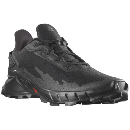 Чоловічі кросівки Salomon Alphacross 4