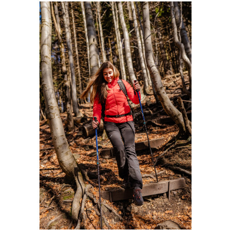 Трекінгові палиці Warg Explorer Antishock