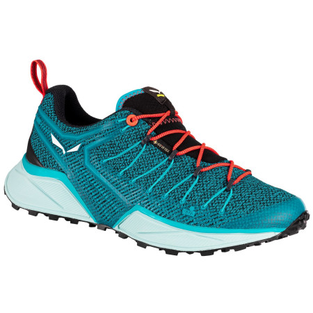 Жіночі черевики Salewa Ws Dropline Gtx