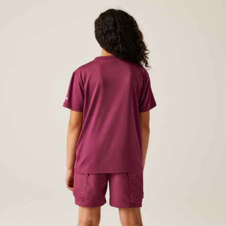 Дитяча футболка Regatta Alvarado IX